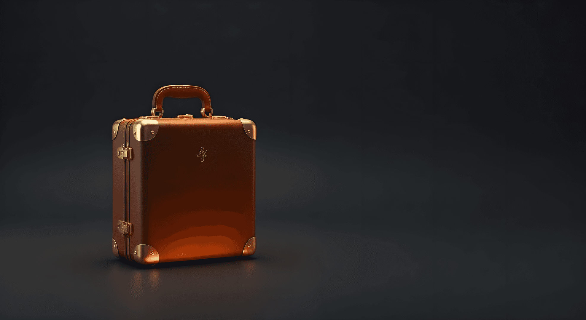 Elegant travel luggage